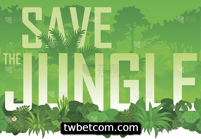 Integração de APIs twbet